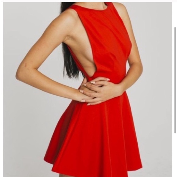 American Apparel Red Dress
